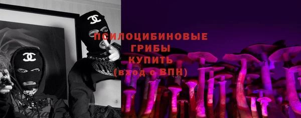 крисы Белоозёрский
