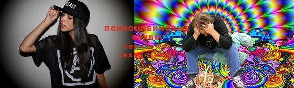 кокс Белокуриха