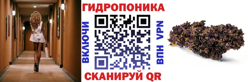 что такое наркотик  Севск  Бошки Шишки THC 21% 